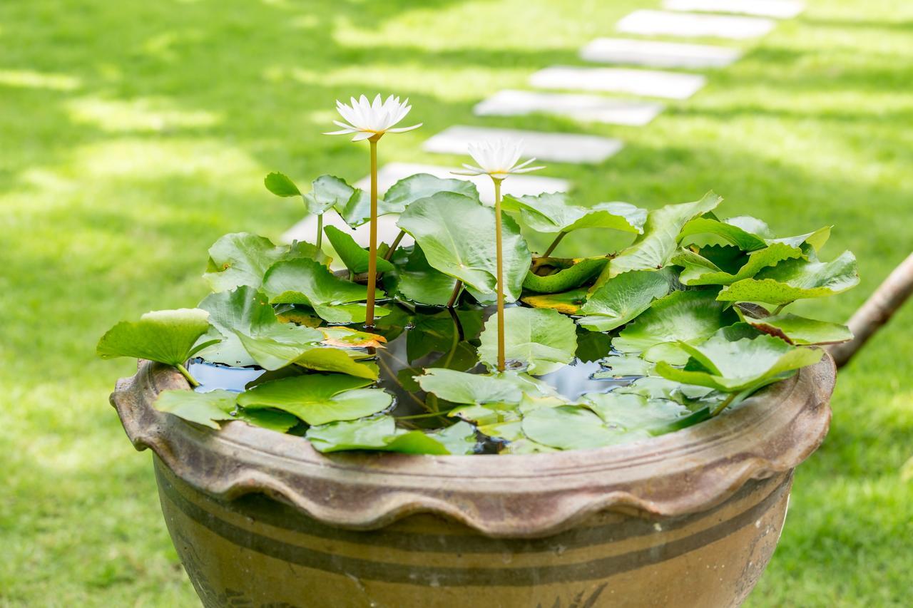 Baan Suaan Serenity Laem Sor Buitenkant foto